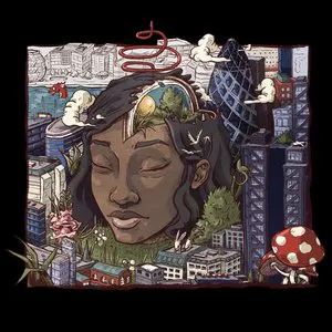 Pochette de Stillness in Wonderland de Little Simz