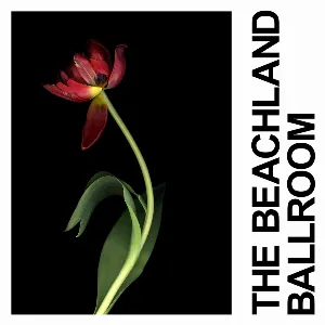 Pochette de The Beachland Ballroom de IDLES