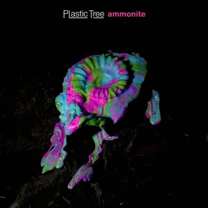 Pochette de アンモナイト de Plastic Tree