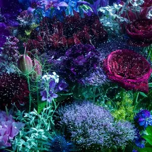 Pochette de あなたに出会わなければ～夏雪冬花～ / 星屑ビーナス de Aimer