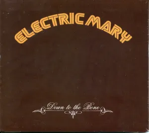 Pochette de Down to the Bone de Electric Mary