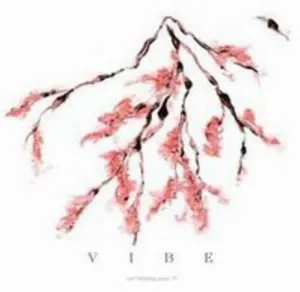 Pochette de Afterglow de Vibe