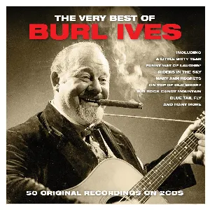 Pochette The Very Best of Burl Ives