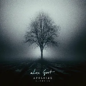 Pochette de Apologize (acoustic) de Alex Goot