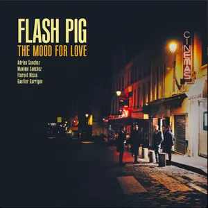 Pochette de The Mood for Love de Flash Pig