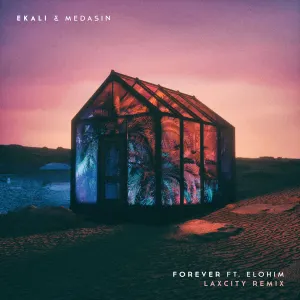 Pochette de Forever (Laxcity remix) de Ekali