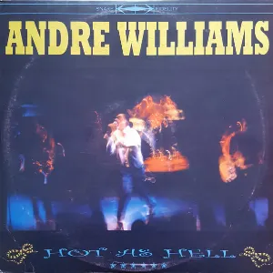 Pochette de Hot as Hell de The Sadies