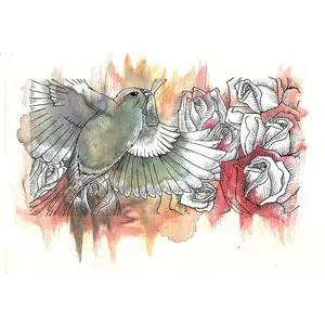 Pochette de Counterparts / Exalt Split de Counterparts