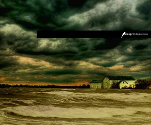 Pochette de sleepmakeswaves de sleepmakeswaves