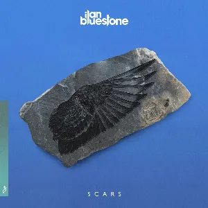 Pochette de Scars de ilan Bluestone