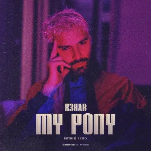 Pochette de My Pony (Kryder remix) (extended version) de R3HAB