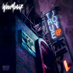 Pochette de True Joy de Wax Motif