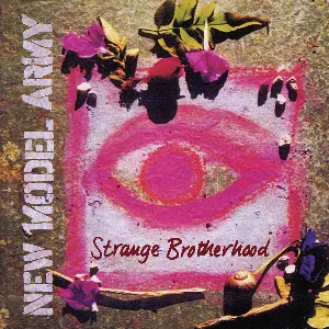 Pochette de Strange Brotherhood de New Model Army