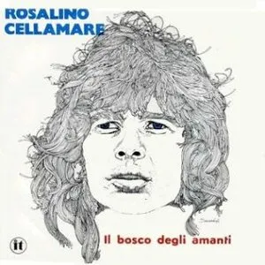 Pochette de Il bosco degli amanti de Ron