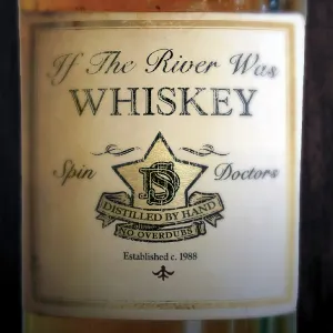 Pochette If the River Was Whiskey