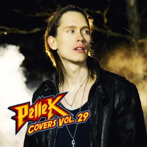 Pochette de Covers, Vol. 29 de PelleK
