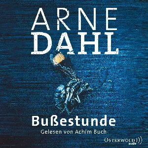 Pochette de Bußestunde de Jan Arnald