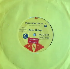 Pochette de From Here on In / Lorena de Kevin Shegog