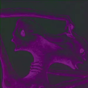 Pochette de Psychotic de Le Wanski