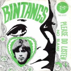 Pochette de Please Do Listen / No Blame de Bintangs
