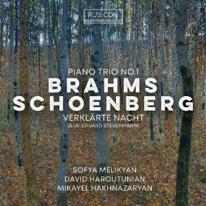Pochette de Brahms: Piano Trio no. 1 / Schoenberg/Steuermann: Verklärte Nacht de Mikayel Hakhnazaryan - David Haroutunian - Arnold Schönberg - Johannes Brahms