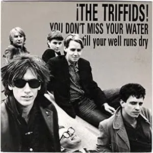 Pochette de You Don't Miss Your Water Till Your Well Runs Dry de The Triffids