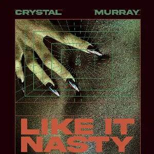 Pochette de Like It Nasty de Crystal Murray