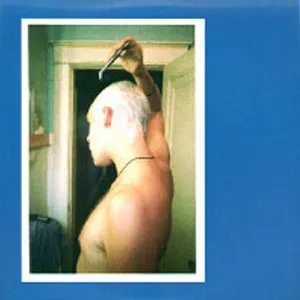 Pochette de Little Joya de Will Oldham