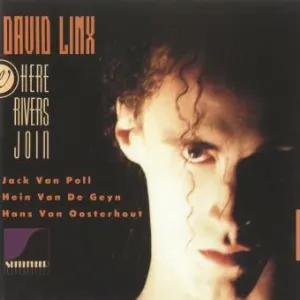 Pochette de Where Rivers Join de David Linx