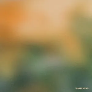 Pochette de warm wind de VOLKHIN