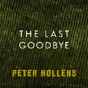 Pochette The Last Goodbye