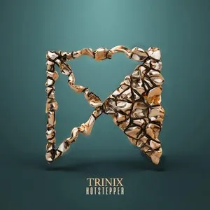 Pochette de Hotstepper de Trinix