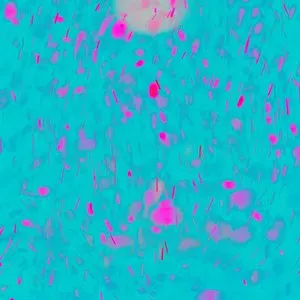 Pochette de はじめましての気持ちを de Daoko