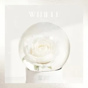 Pochette de White de THE BOYZ