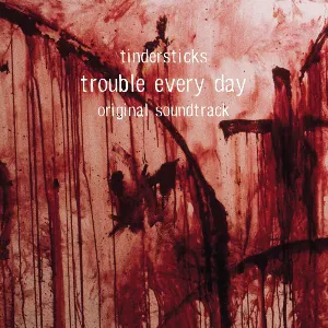 Pochette Trouble Every Day