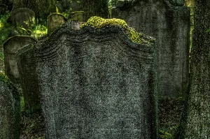 Pochette de In This Hedonistic Society, Where Everything Precious and Shallow Alike Is Readily-Won-And-Readily-Lost, the Natural Habitat for Saints Is the Graveyard de Wings of an Angel