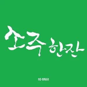 Pochette de 소주 한 잔 de No Brain