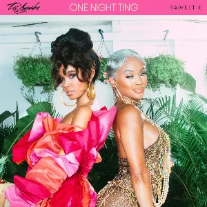 Pochette de One Night Ting de Saweetie