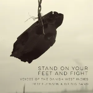 Pochette de Stand on Your Feet and Fight de DR Big Band