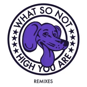 Pochette de High You Are (Remixes) de What So Not