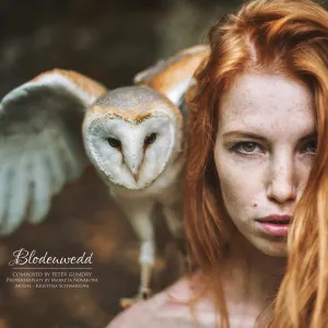 Pochette de Blodeuwedd de Peter Gundry