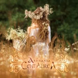 Pochette de Centaurea de Ataraxia
