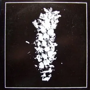 Pochette de Drowning Yellow Swans & Jim Altieri de Yellow Swans