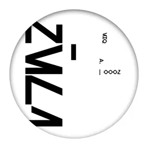 Pochette de Bionic Ahmed de ZULI