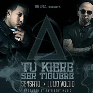 Pochette de TU KIERE SER TIGUERE de Voltio