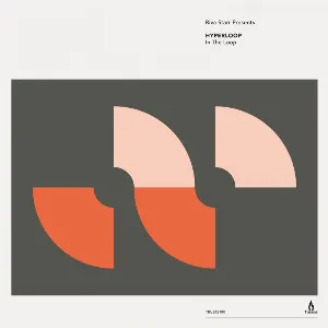 Pochette de In the Loop de Riva Starr