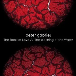 Pochette The Book of Love / Washing of the Water