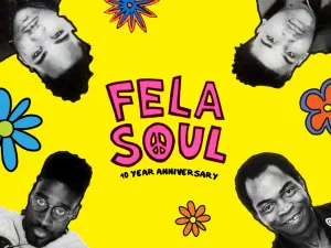 Pochette de Fela Soul - More Than U Know (10th Anniversary Remix) de Amerigo Gazaway
