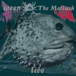 Pochette de The Mollusk - Live de Ween