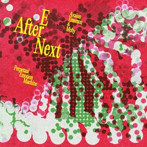 Pochette de E After Next de Moby - Avalon Emerson